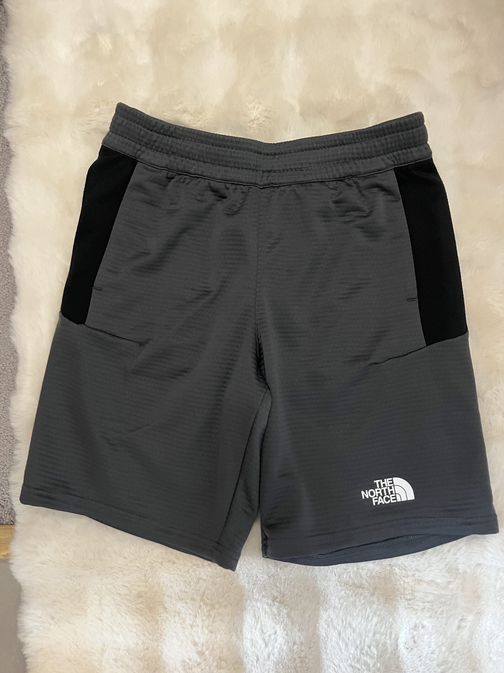 Short Homme The North Face T.M